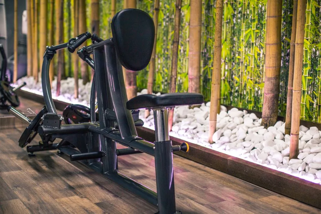 Siłownia and Fitness Niepołomice - Niepołomice