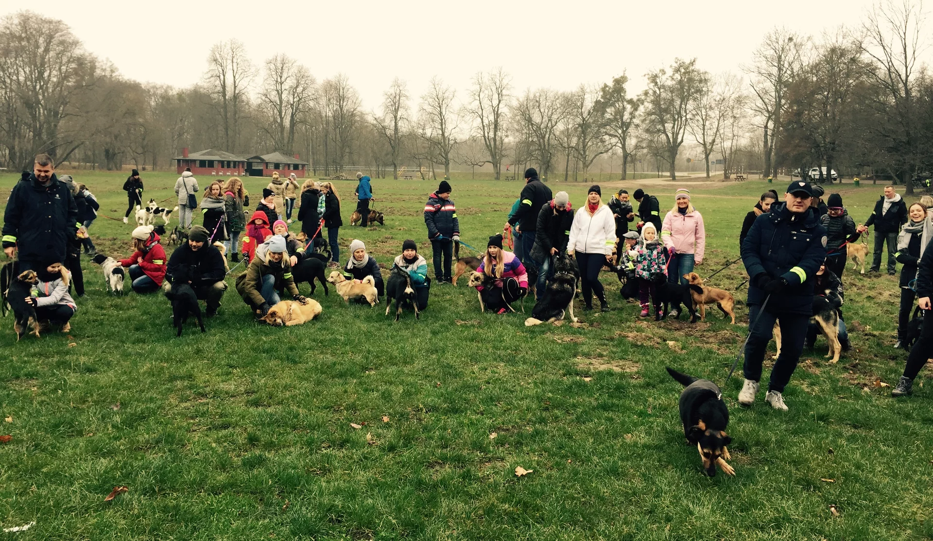 SportsArt Dog Days Dog Days