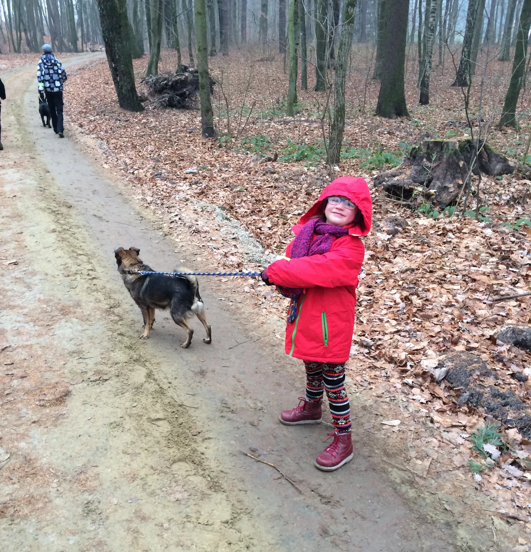 SportsArt Dog Days Dog Days