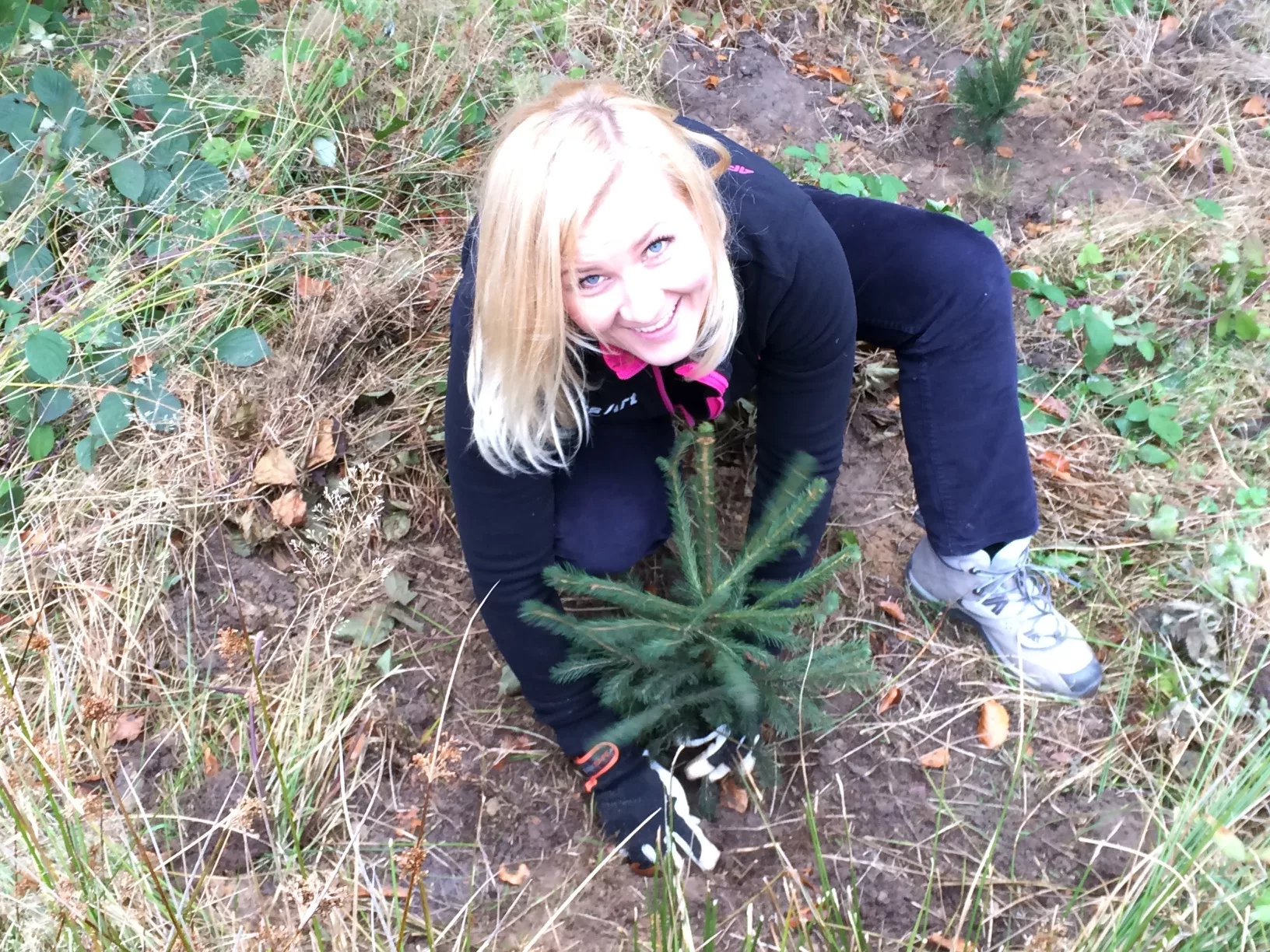 Akcja Eco-Powr™ sadzenie drzew