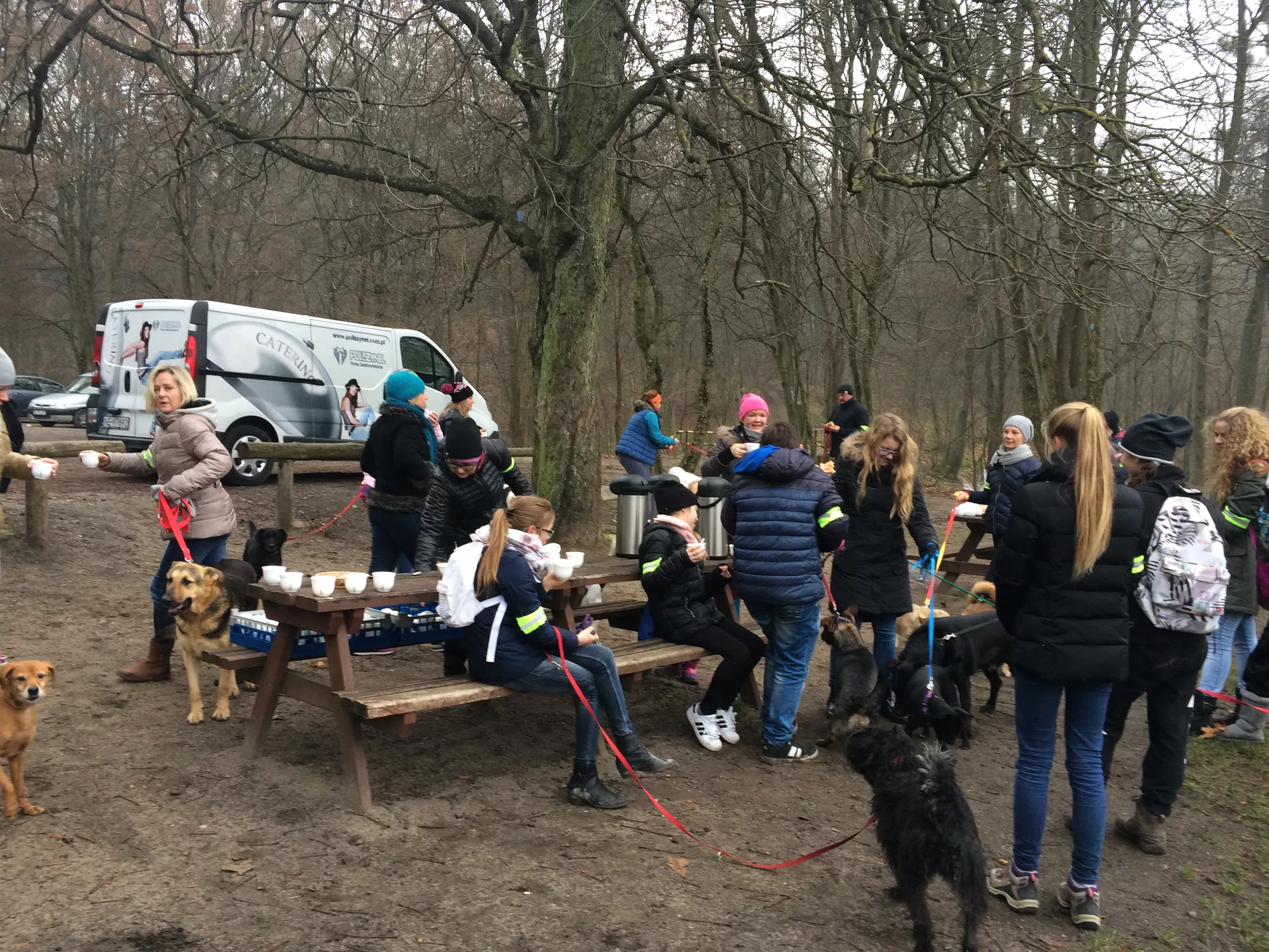 SportsArt Dog Days Dog Days